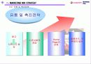 아이스 베리의 마케팅 전략 (Iceberry Marketing Plan) 30페이지