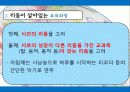 발도르프 프로그램 17페이지