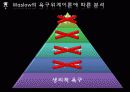 영화분석 - 눈 먼 자들의 도시 (Blindness) 29페이지