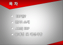 ERP - 기업명 : ㈜AR 2페이지