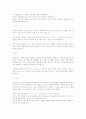 농심-신라면 해외진출전략 17페이지