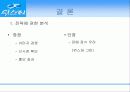 위스퍼(whisper) 마케팅 전략 28페이지