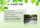 온천마케팅,온천마케팅전략,온천산업,브랜드마케팅,유성온천 5페이지