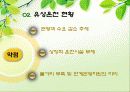 온천마케팅,온천마케팅전략,온천산업,브랜드마케팅,유성온천 7페이지