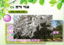 온천마케팅,온천마케팅전략,온천산업,브랜드마케팅,유성온천 12페이지