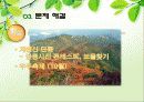 온천마케팅,온천마케팅전략,온천산업,브랜드마케팅,유성온천 14페이지