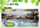 온천마케팅,온천마케팅전략,온천산업,브랜드마케팅,유성온천 17페이지