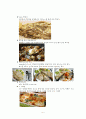창업,마케팅,브랜드,브랜드마케팅,기업,서비스마케팅,글로벌,경영,시장,사례,swot,stp,4p 5페이지