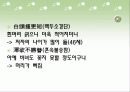 춘망(春望) - 두보 20페이지