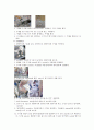 실험보고서(조지방) 3페이지