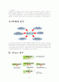 아시아나항공,마케팅전략,마케팅,브랜드,브랜드마케팅,기업,서비스마케팅,글로벌,경영,시장,사례,swot,stp,4p 5페이지