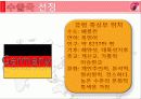 쿠쿠해외진출,성공사례,마케팅,브랜드,브랜드마케팅,기업,서비스마케팅,글로벌,경영,시장,사례,swot,stp,4p 30페이지