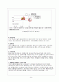 BBQ 중국 진출 전략 60페이지