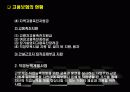 고용보험의 발전과정과 내용 11페이지