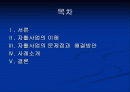 자활사업의 이해 및 문제점과 해결방안 2페이지