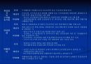 자활사업의 이해 및 문제점과 해결방안 12페이지