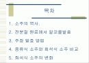 주정 & 희석식 소주 2페이지