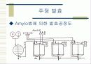 주정 & 희석식 소주 11페이지