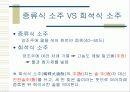 주정 & 희석식 소주 20페이지