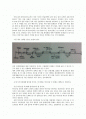 미용 2페이지