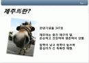 제주마활용방안 4페이지