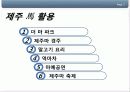 제주마활용방안 5페이지