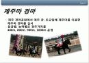 제주마활용방안 8페이지
