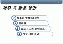 제주마활용방안 14페이지