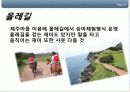 제주마활용방안 16페이지