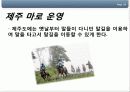 제주마활용방안 18페이지