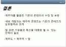 제주마활용방안 19페이지