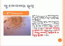 치매와 삶 8페이지