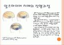 치매와 삶 10페이지