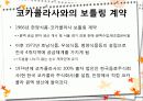 코카 콜라 STP 전략 (COCA COLA & STP STRATEGE) 15페이지