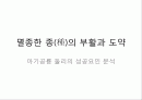 osmu_성공사례_분석 2페이지