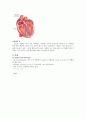 [생리학 실습] 심전도 (electrocradiogram) 14페이지