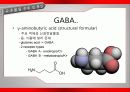 가바(GABA)의 작용기작 효능 연구논문 등 14페이지