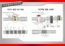 가바(GABA)의 작용기작 효능 연구논문 등 17페이지