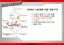가바(GABA)의 작용기작 효능 연구논문 등 18페이지
