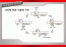 가바(GABA)의 작용기작 효능 연구논문 등 22페이지