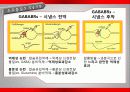 가바(GABA)의 작용기작 효능 연구논문 등 23페이지