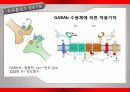 가바(GABA)의 작용기작 효능 연구논문 등 24페이지