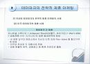테마파크 마케팅 13페이지