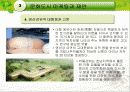 세계문화도시를가다 - 문화도시를 팔아라 7페이지