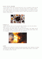 갑상선암의 문헌고찰 5페이지