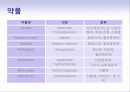 심맥관계_케이스 25페이지