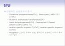 심맥관계_케이스 42페이지
