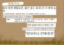 허리디스크교육안 5페이지
