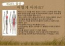 허리디스크교육안 9페이지
