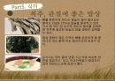 허리디스크교육안 23페이지
